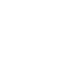 Stone's Ginger Joe